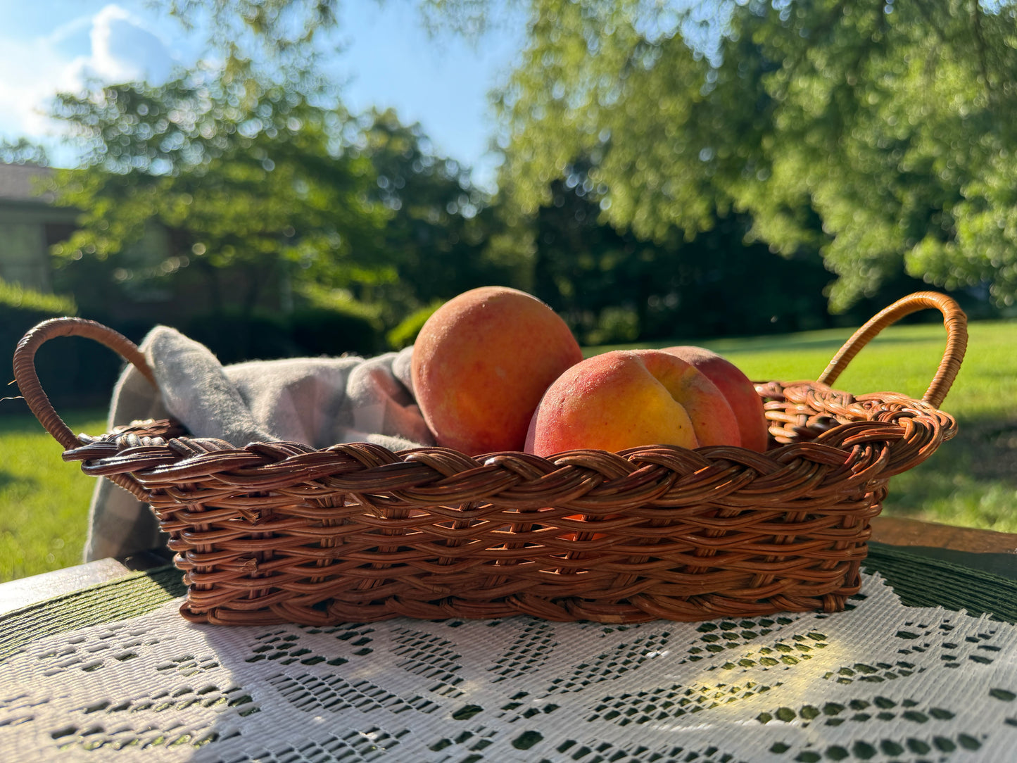 Set of Woven Baskets