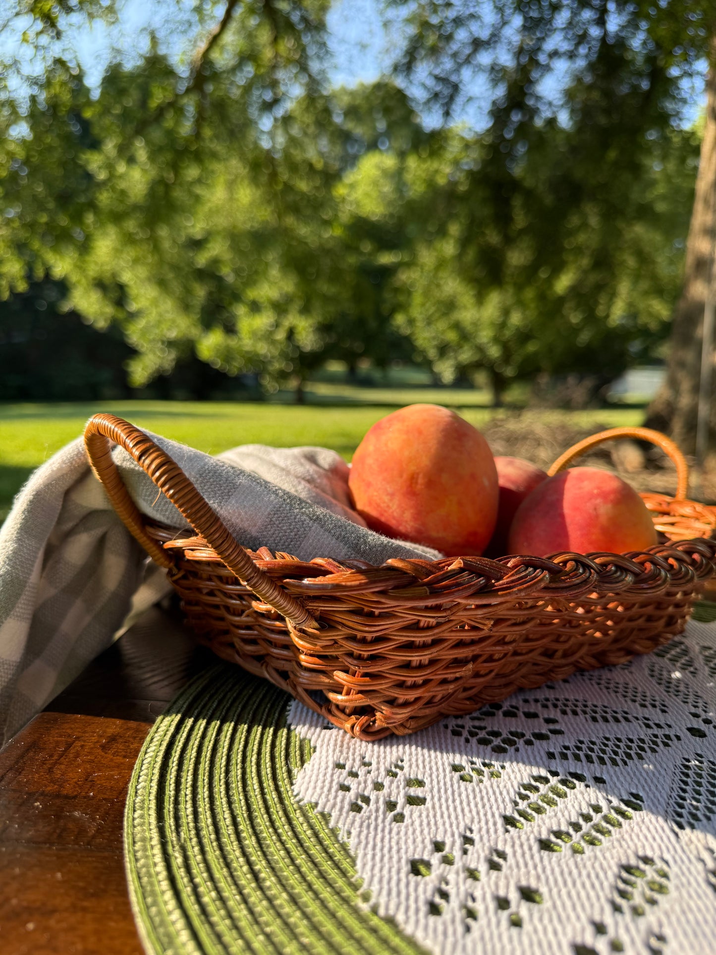 Set of Woven Baskets