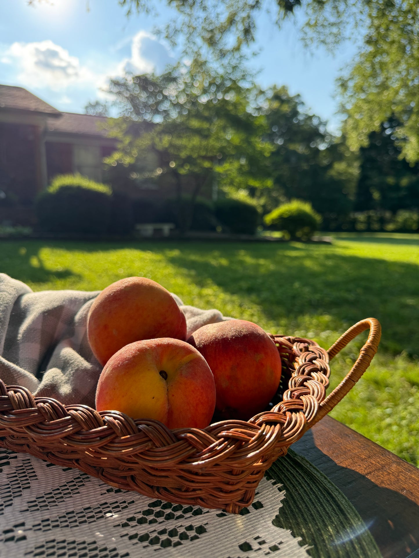 Set of Woven Baskets